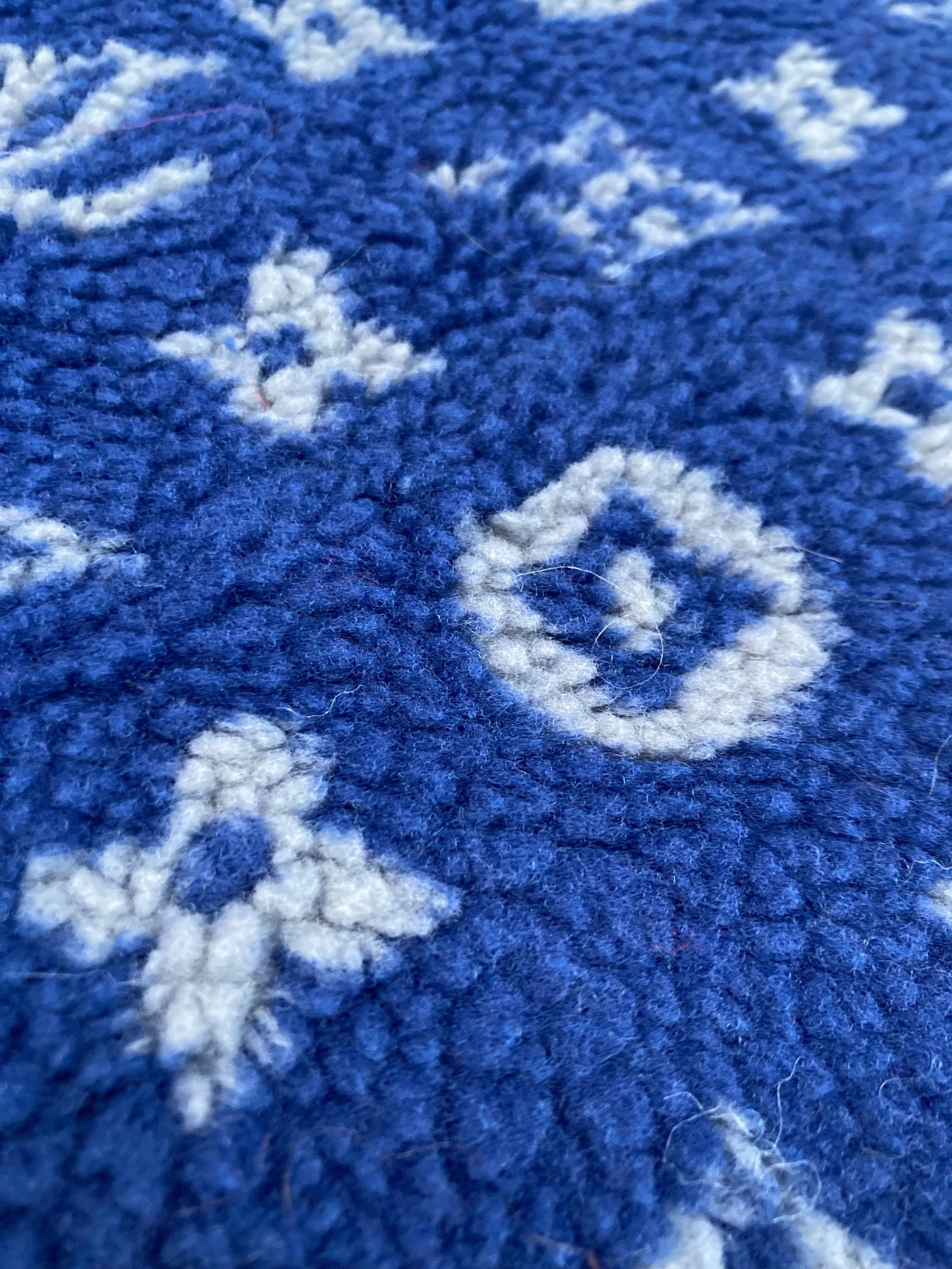 Blue Furry Cozy LV Teddy Flannel Fabric